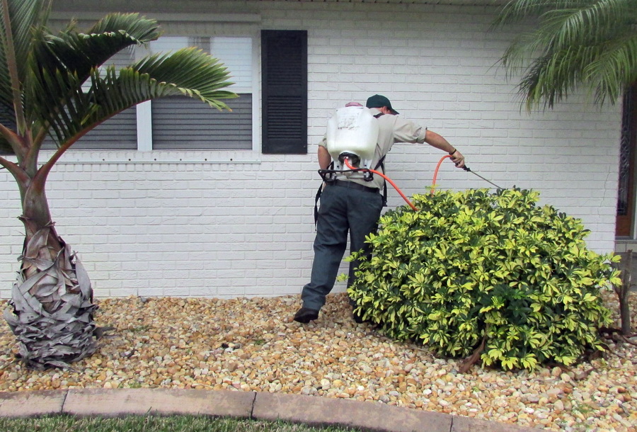 Έλεγχος Παράσιτων