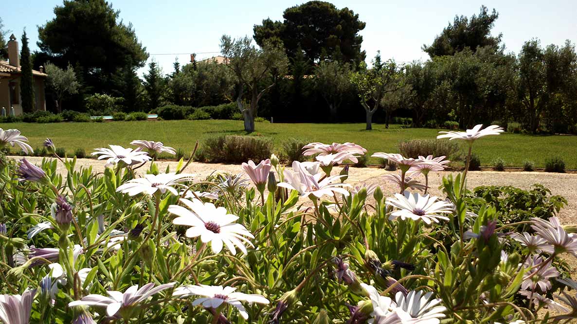 Management - Maintenance Services