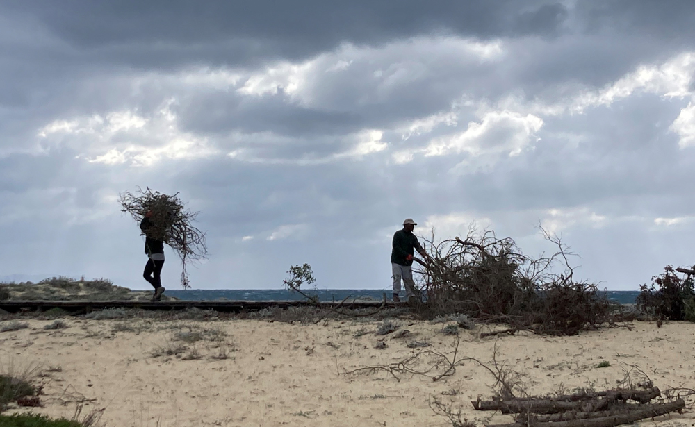 kedroi naxos niki kefala 8