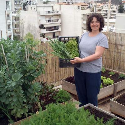 Οικιακός Λαχανόκηπος