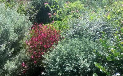 Καστράκι Νάξος