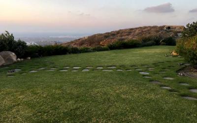 Βίβλος Νάξου