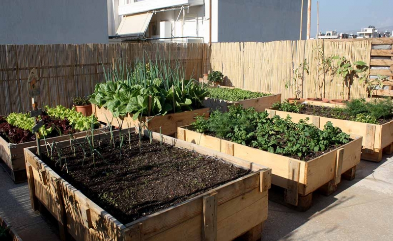 Green roofs: Moving to the sky!
