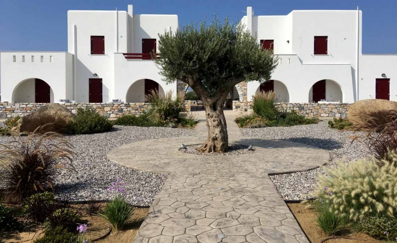 Gardens under the Mediterranean light